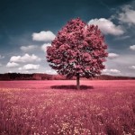 Inceptionism-Arbol1