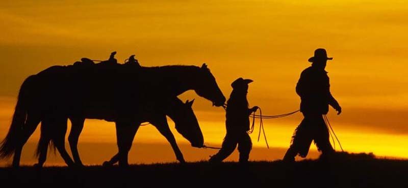 16 claves para tener éxito emprendiendo según Elon Musk.- Azul Web