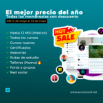Hot Sale 1